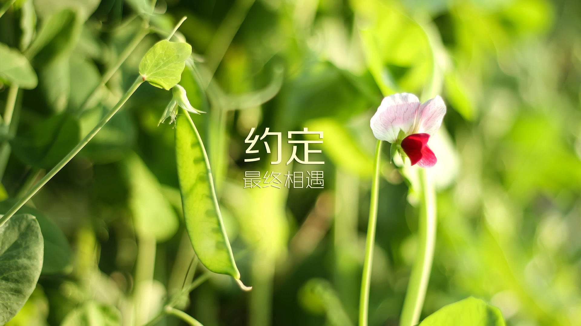 华体会hth娱乐平台-_勇士战术升级,赢得关键比赛_,勇士 战术