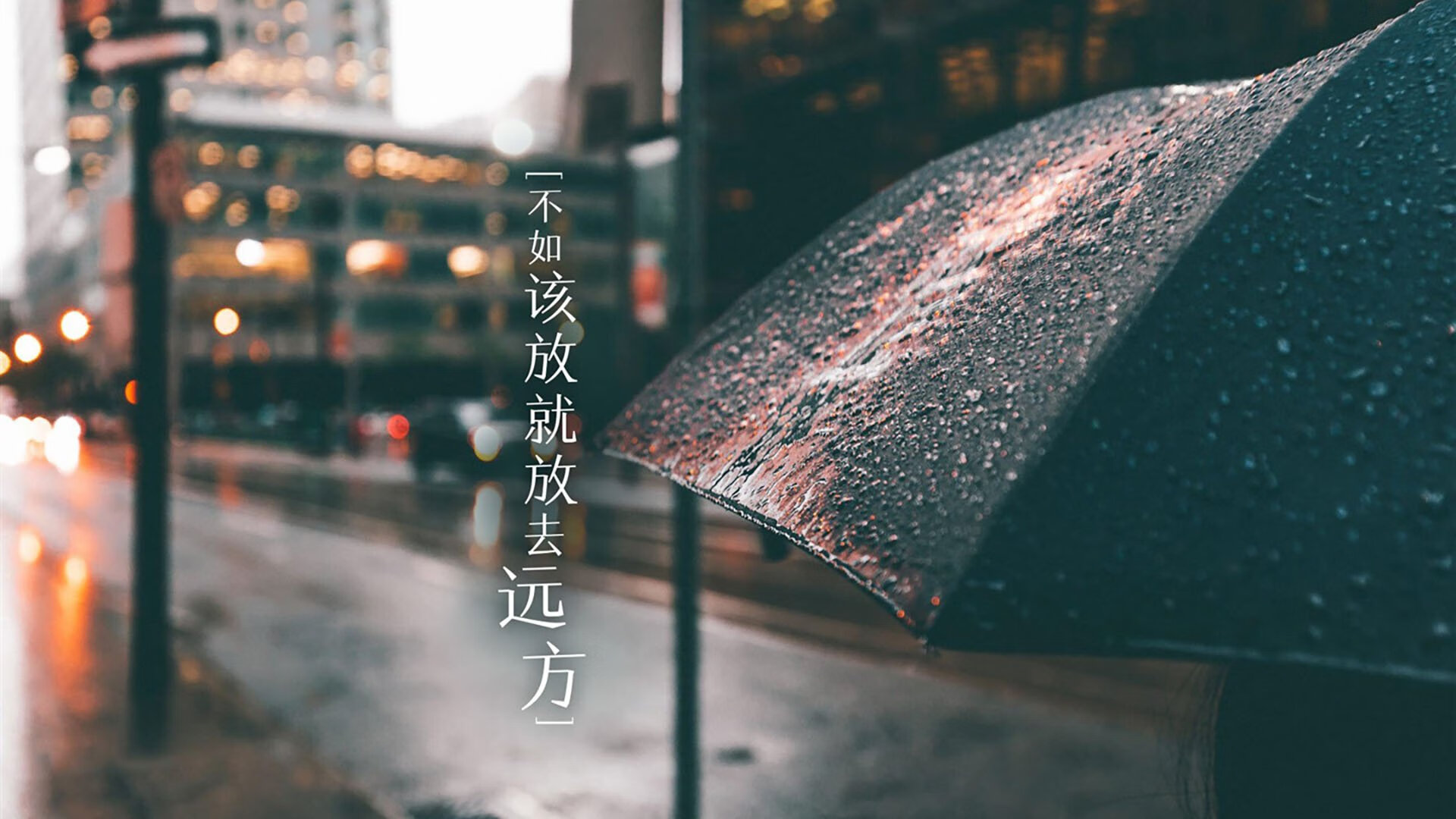 荷兰女足在预选赛中以0-2不敌德国，未能晋级巴黎奥运会，从青涩菜鸟到世界亚军,飞翔的荷兰女足还有未来