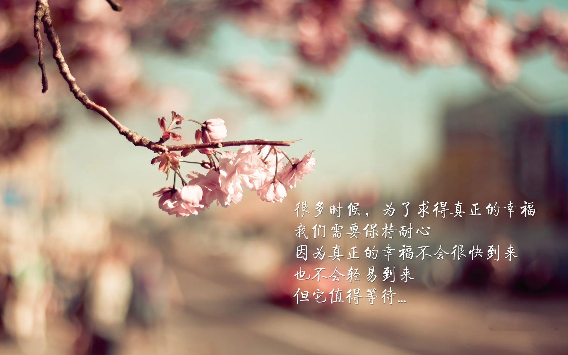 队员表现出色，成为球队的关键人物，球队有哪些角色