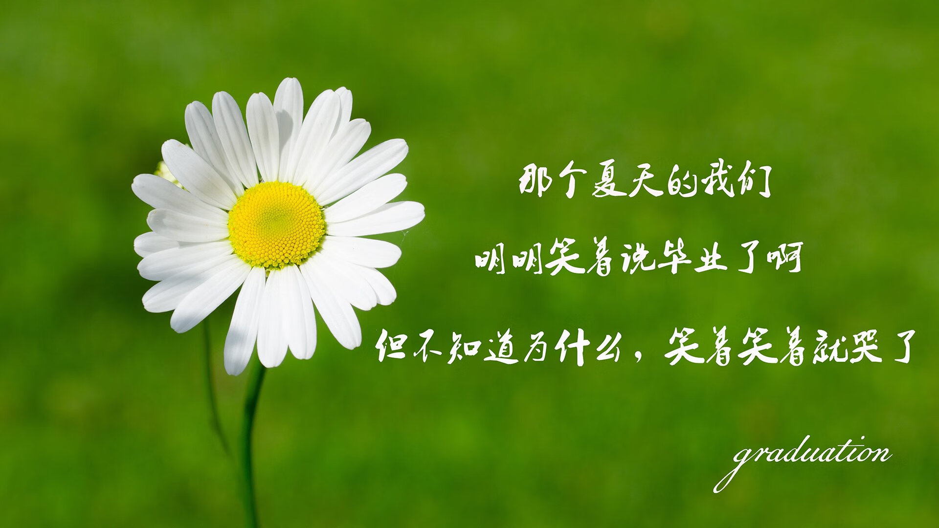 篮球专项技能教学创新及实战应用探索，篮球教学创新方法