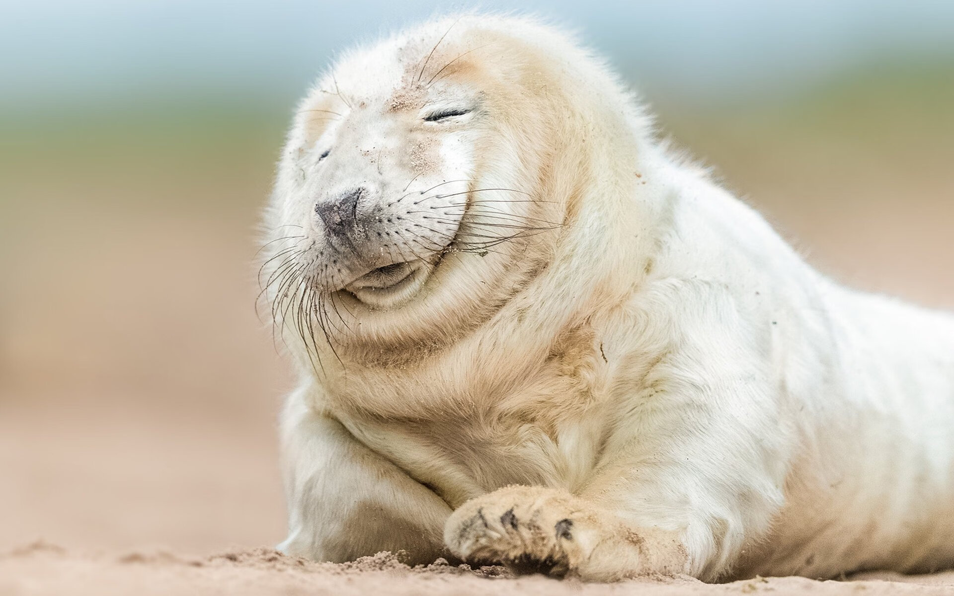 中超联赛中国青年队迎战 球员状态起伏明显，中国足球青年超级联赛