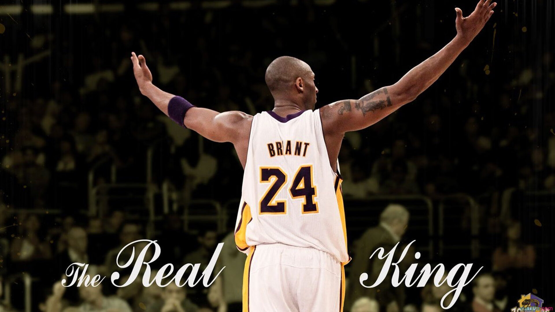 赛场“火花”_激烈碰撞引发争议，观赛火花